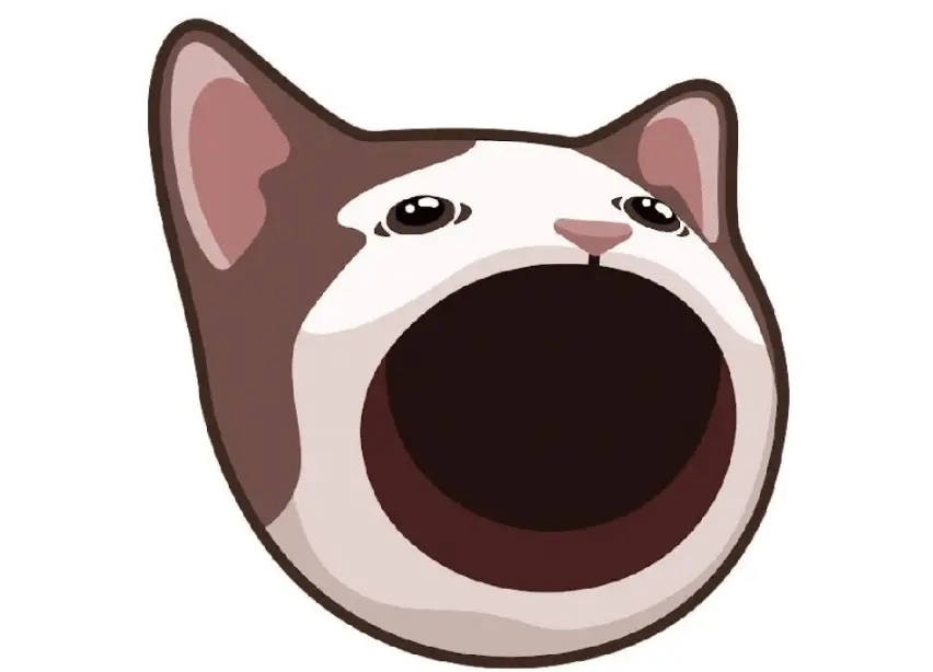 POPCAT