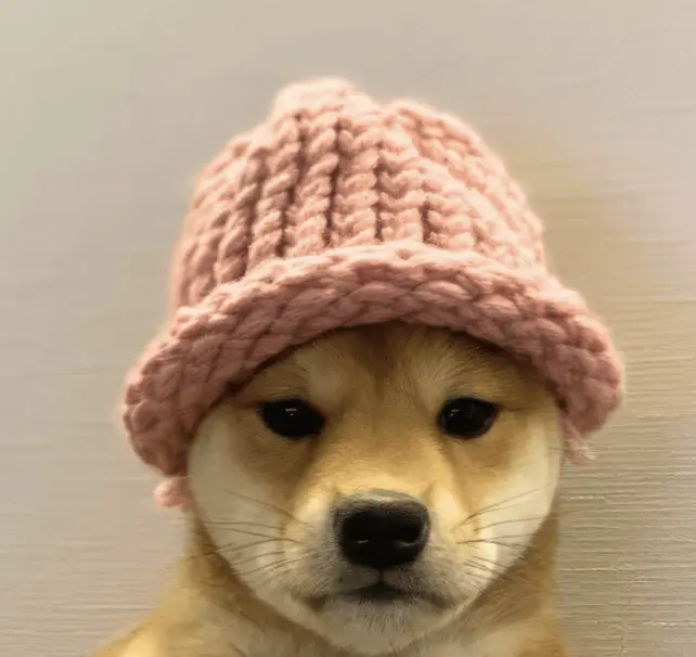 WIF