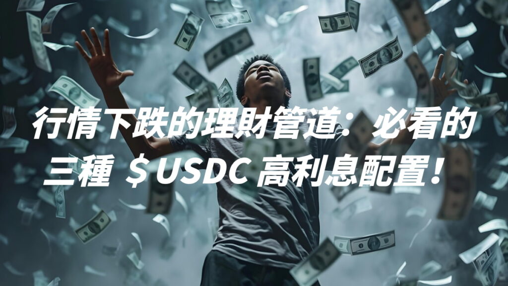 行情下跌的理財管道：必看的三種 ＄USDC 高利息配置！