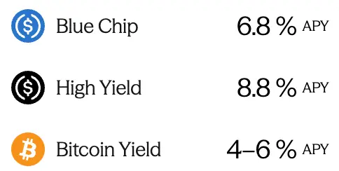 Maple Finance 的金庫種類