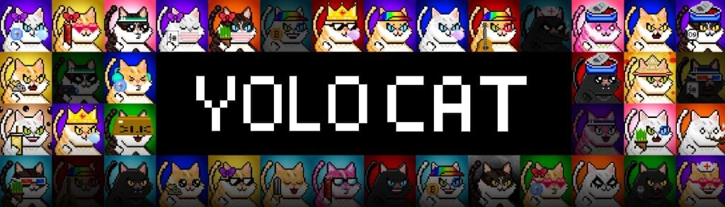 NFT 有哪些？YOLO CAT