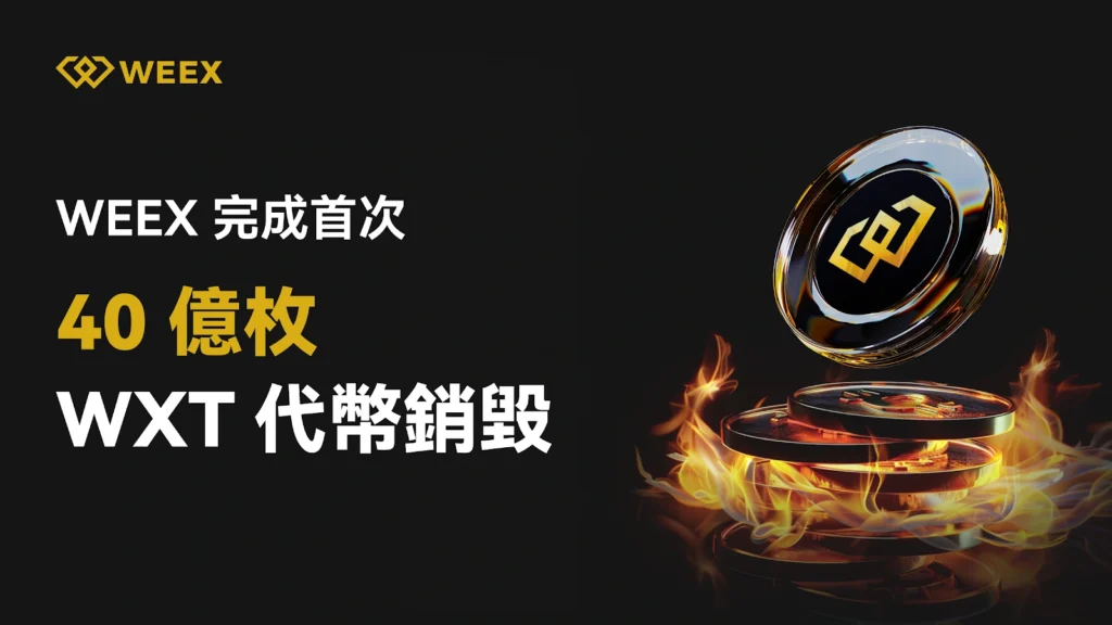 WXT 回購銷毀機制