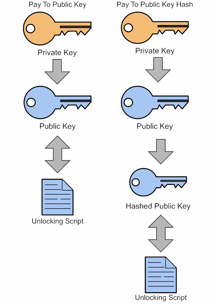 比特幣 vs 量子計算:終將難逃歸零命運? P2PK