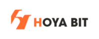 HOYA-BIT-Logo-1024x1024-2-03-1024x479-1-300x140.png